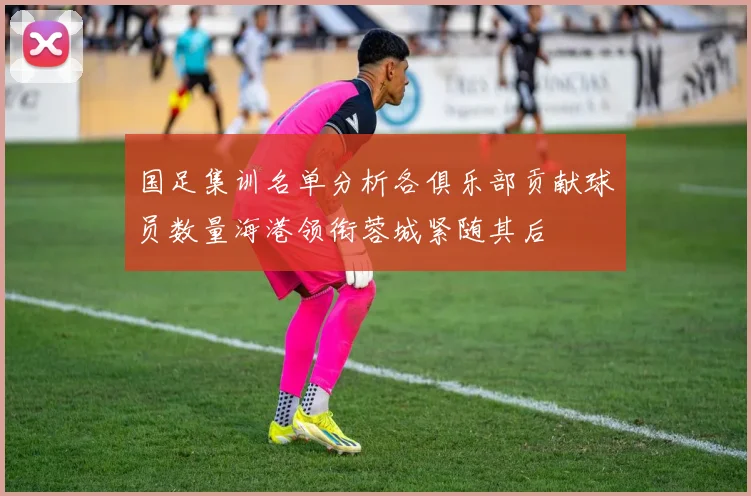 国足集训名单分析各俱乐部贡献球员数量海港领衔蓉城紧随其后